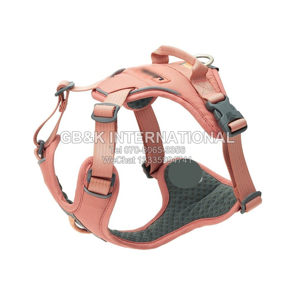 Harnesses & leashes